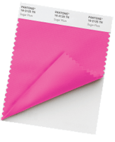 Nylon Swatch